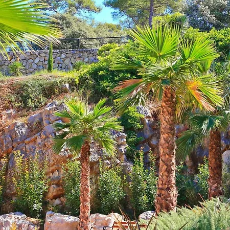 Mobile Saky, Kemping *